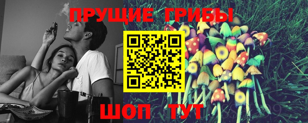 Псилоцибиновые грибы GOLDEN TEACHER  Вход с VPN  где можно купить   Псилоцибиновые грибы Magic Shrooms  Семилуки 